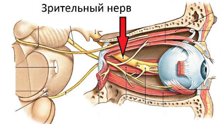 Нормальный цвет диска зрительного нерва бледно розовый. Заболевания зрительного нерва. Врожденная пигментация диска зрительного нерва