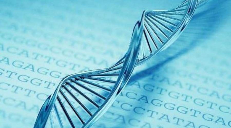 Strukturni gen sadrži informacije o strukturi. Moderna ideja strukture i funkcija gena. Regulacija gena gena u eukaritotu