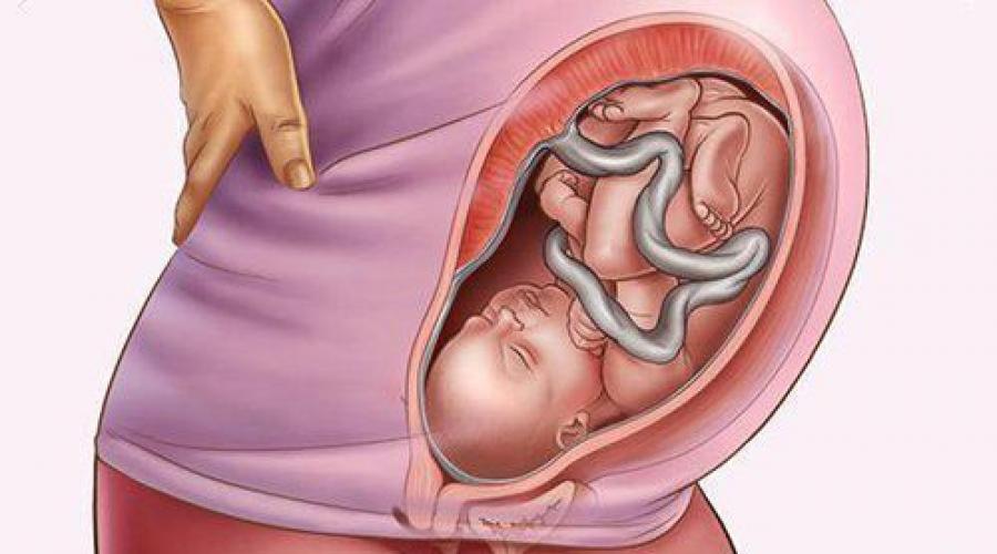 Репродуктивное здоровье человека кратко. Репродуктивное здоровье и его сохранение. Репродуктивное здоровье населения