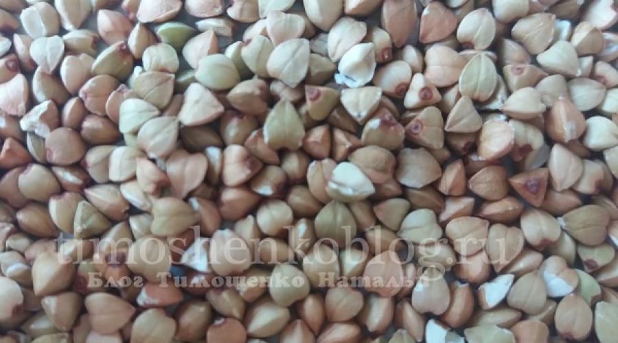 How to germinate green buckwheat at home and what is the benefit for our body? How to germinate green buckwheat? Detailed instructions with photos How to stretch buckwheat do you need to sterilize