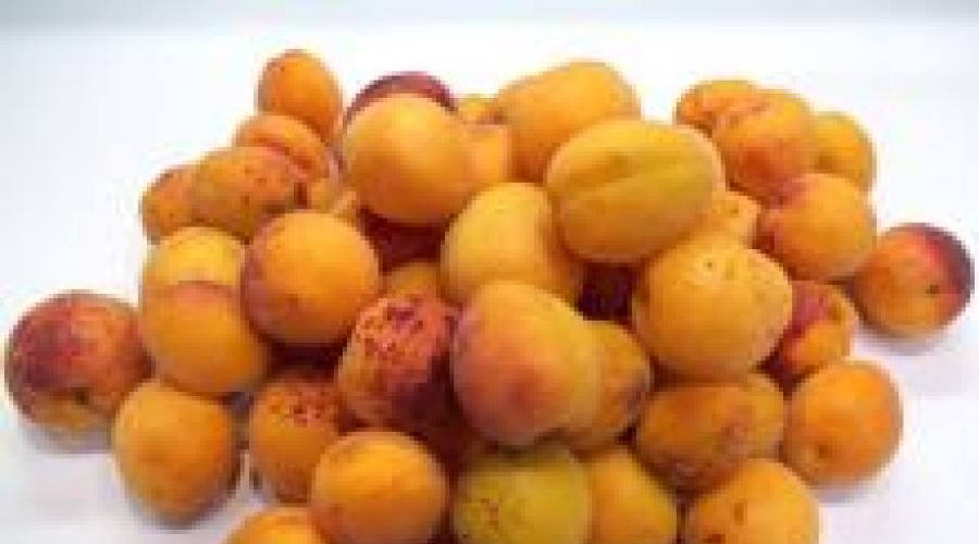 Membekukan aprikot untuk ulasan musim dingin.  Apakah mungkin dan bagaimana cara membekukan aprikot segar untuk musim dingin: resep dengan separuh buah, pure buah, makanan penutup cerah dalam cangkir.  Umur simpan biji aprikot