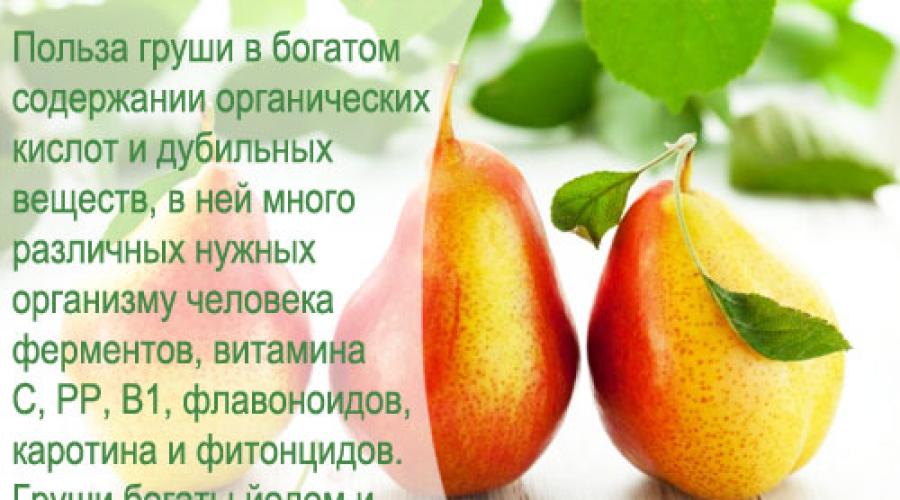 नाशपाती - लाभकारी गुण और contraindications। नाशपाती: रासायनिक संरचना, कैलोरी, उपयोगी गुण नाशपाती प्रोटीन वसा कार्बोहाइड्रेट विटामिन