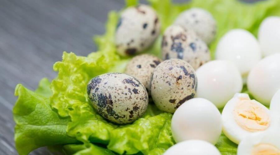 นกกระทาไข่วิธีการปรุงอาหารทำอาหาร วิธีการปรุงสกรูไข่นกกระทาและ Schuck? ไข่นกกระทาใช้เวลานานเท่าไหร่