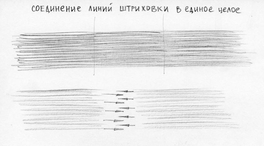 Grafica tratteggiata.  L'ombreggiatura a matita è un tipo speciale di arte.  iniziare e costruire la testa