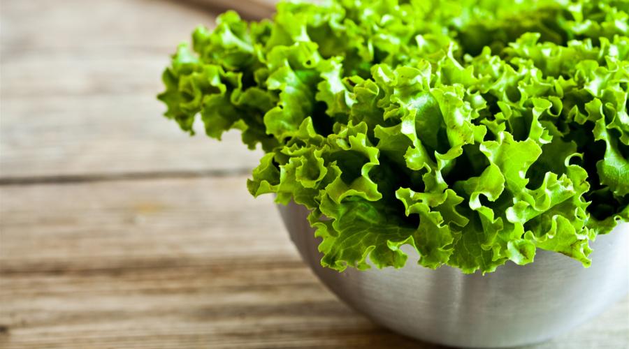 Hidangan untuk hari tua: apa yang dimasak dari daun selada?  Resep salad dengan sayuran Resep salad hijau muda