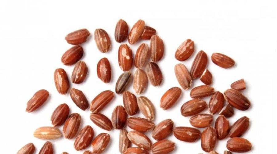 Ruby rice benefits and harms.  Methods of use in folk medicine and for weight loss.  Red rice and weight loss