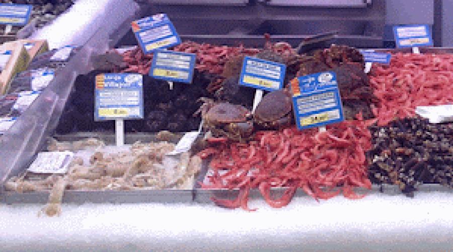 Seafood composition.  Exotic seafood: how to choose and how to cook