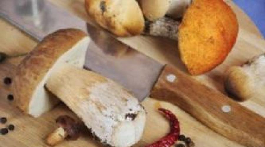 Per quanto tempo cuocere i funghi nella zuppa.  Come e quanto tempo cuocere i funghi selvatici?  Come cucinare i funghi porcini surgelati